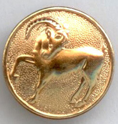 Zodiac Aries - Ram