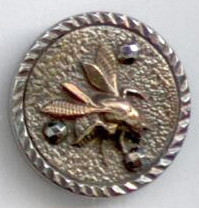 Steel Cup Insect