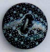 China Calico, Black Colored Body