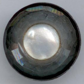 Glass with Shell