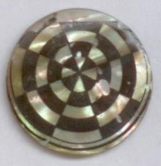Shell with Transfer