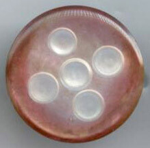 Shell with Five Carved Circles