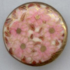 Satsuma Flowers