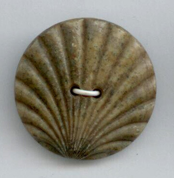Composition Shell