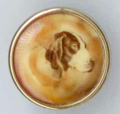 Dog, Picture on Celluloid