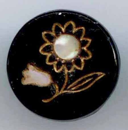 Shell in Black Glass