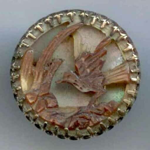Shell, Carved Bird Set in Metal