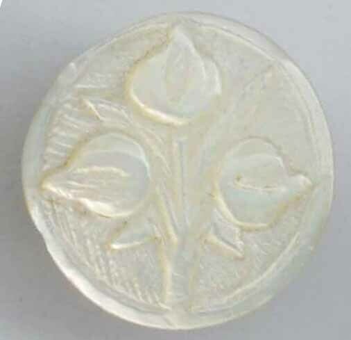 Shell Stud with Plant Life