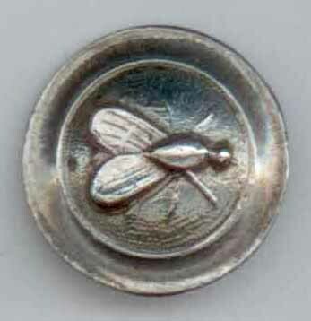 White Metal Insect