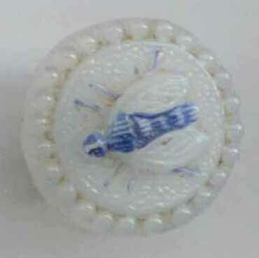 White Glass Insect