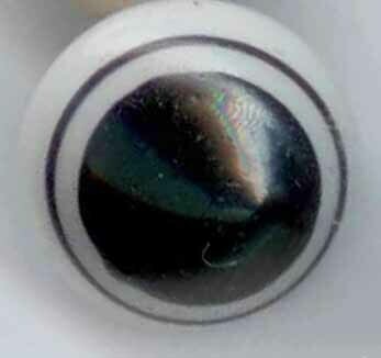 China Bulls Eye #12, Black