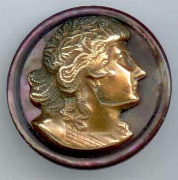 Brass Head on Shell