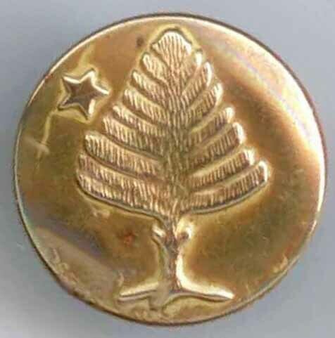 Tree &amp; Star on Overall Button
