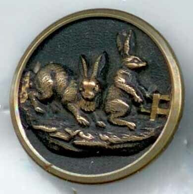 Rabbits