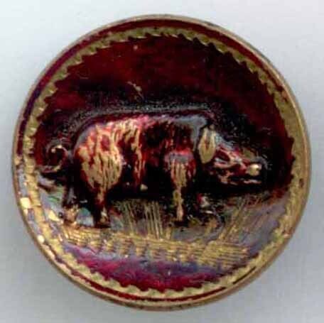Boar