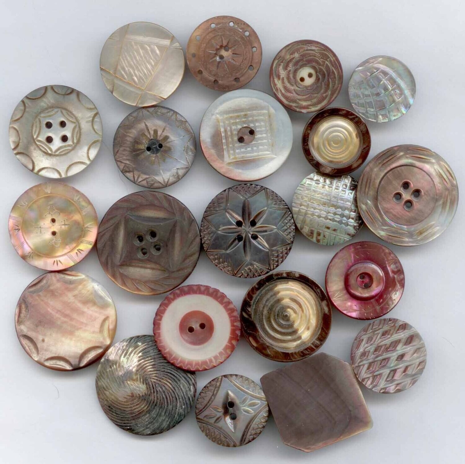 Carved Shell Group