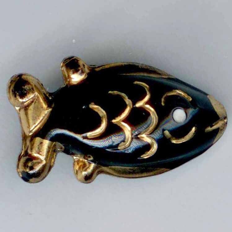 Black Glasss Fish