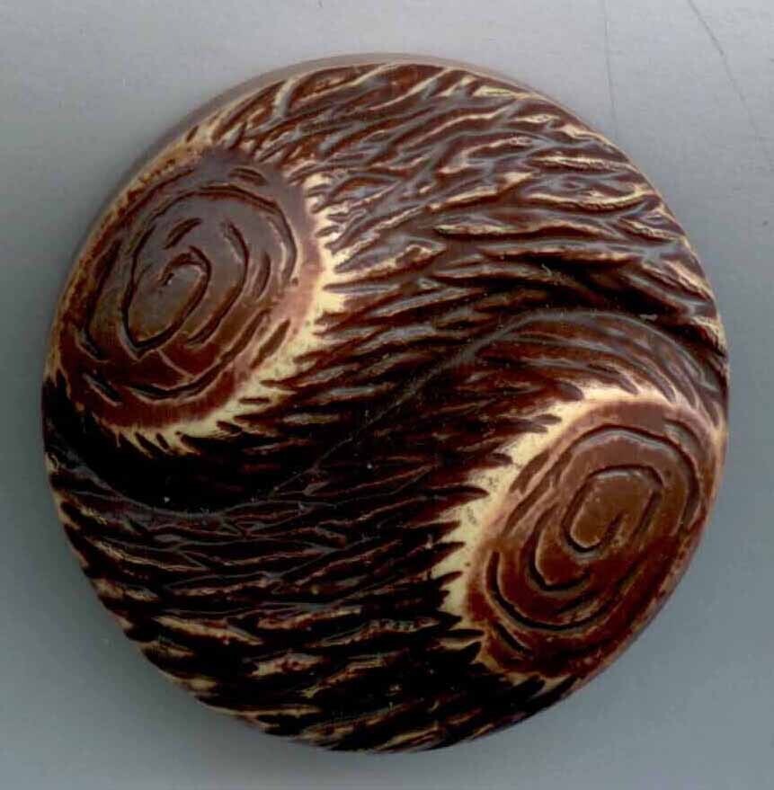 Buffed Celluloid, Part of Tree Trunk