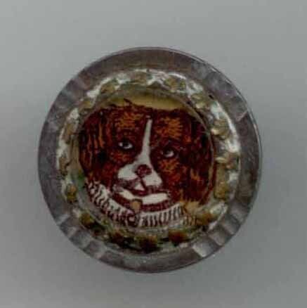 Steel Cup, Dog Head Under Glass