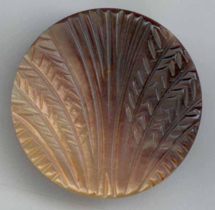 Carved Shell
