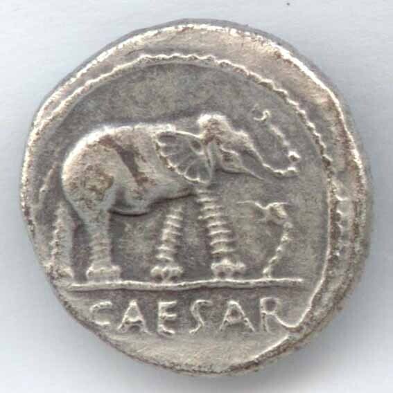 &quot;CAESAR&quot; Elephant &amp; Snake