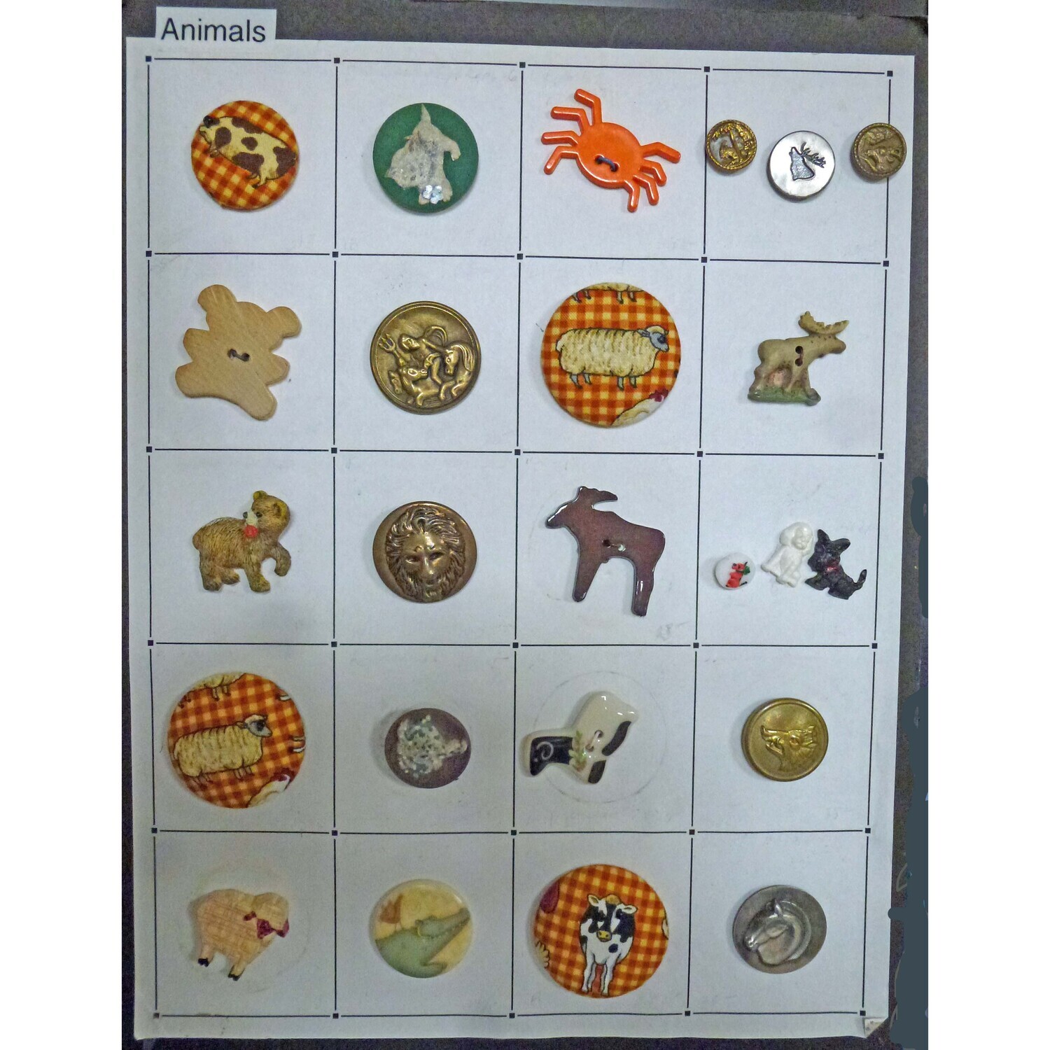 Card of 24 Animal Buttons