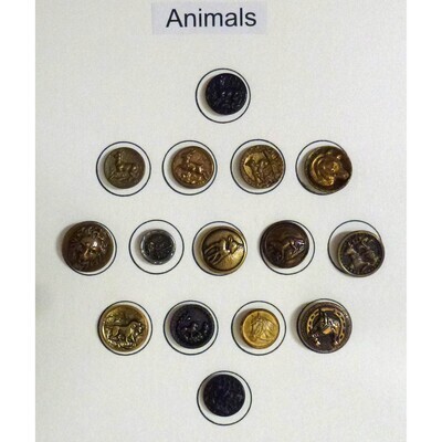 Card of 16 Animal Buttons