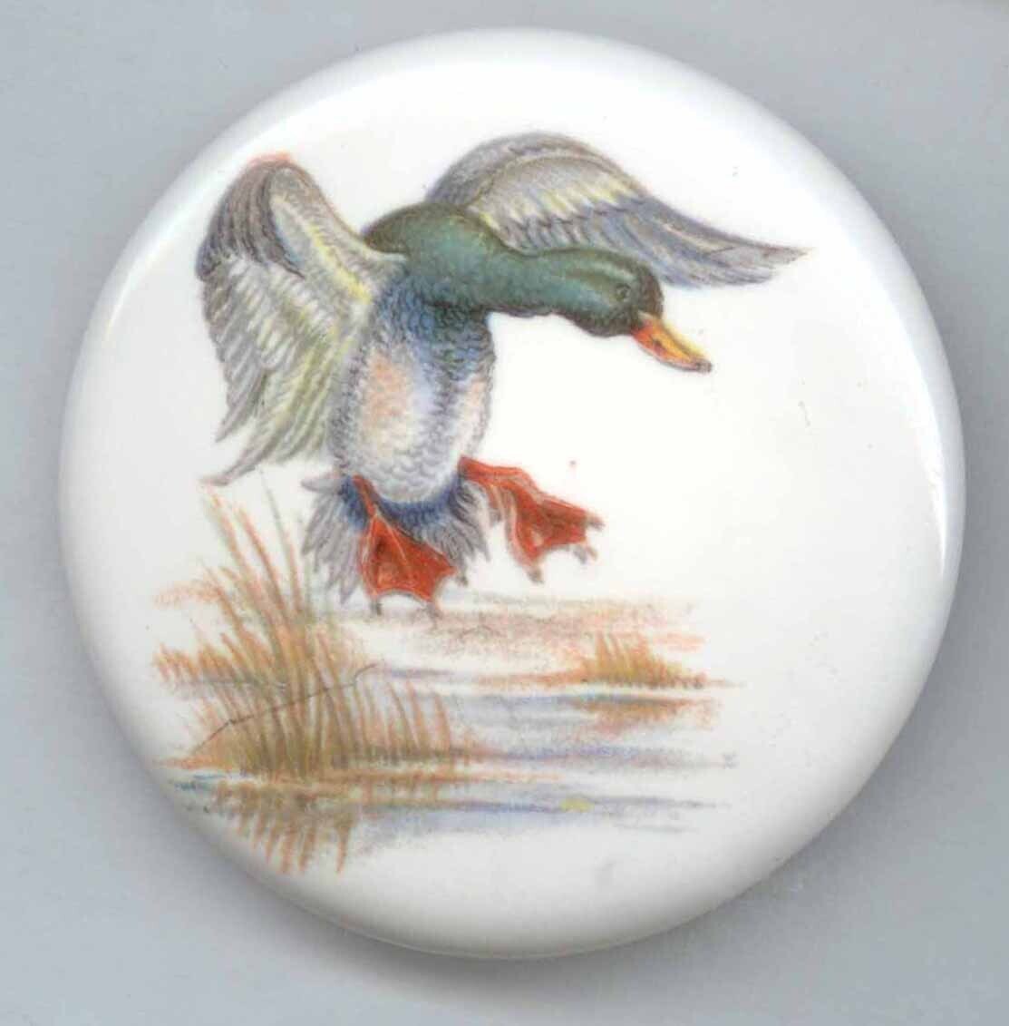 Ceramic Duck in action