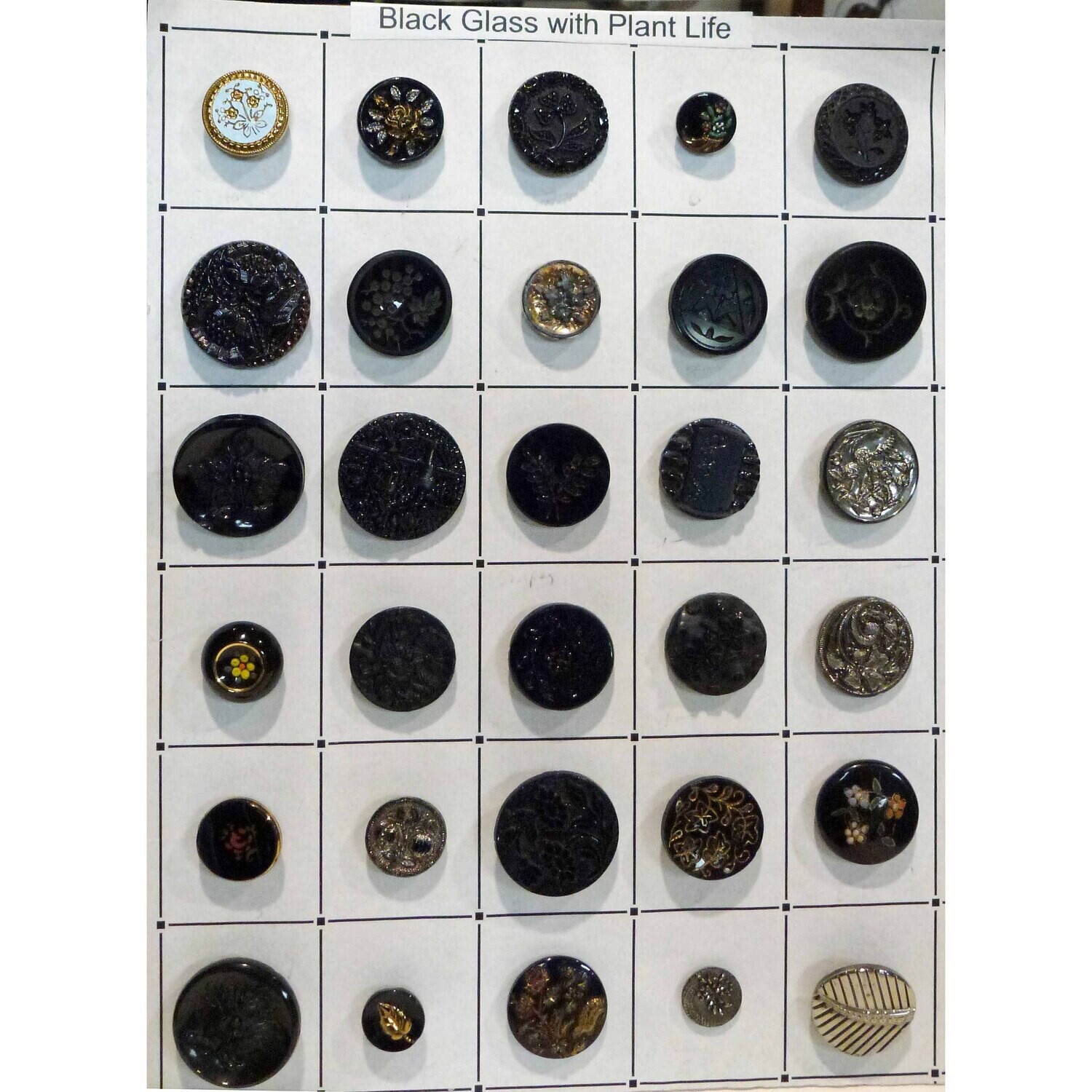 30 Black Glass Plant Life Buttons, many Medium&#39;s