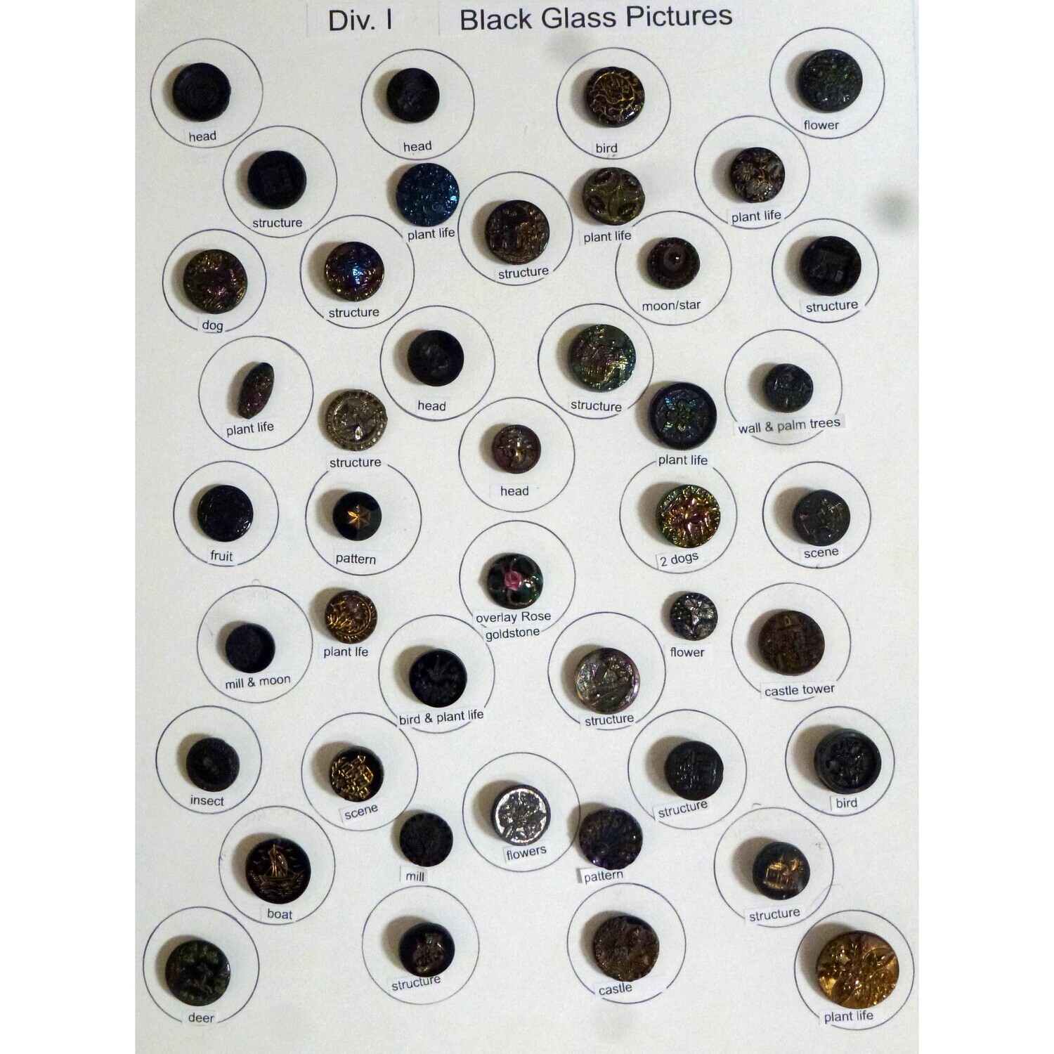 Div. I Black Glass with Pictures (44 buttons)