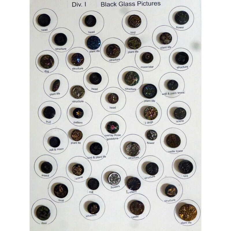 Div. I Black Glass with Pictures (44 buttons)