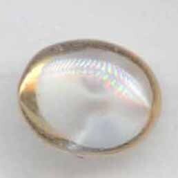 Dimi Moonglow Glass