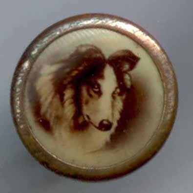 Dog on Litho.