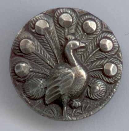 Pewter Peacock