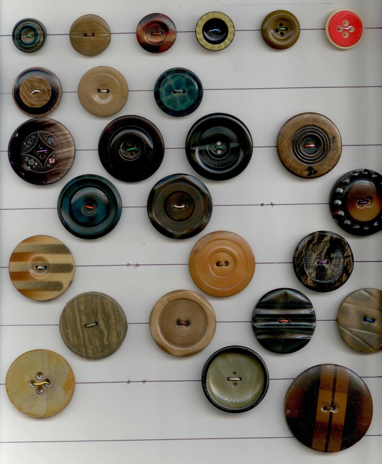 Card of 26 Celluloid Tight Top Buttons