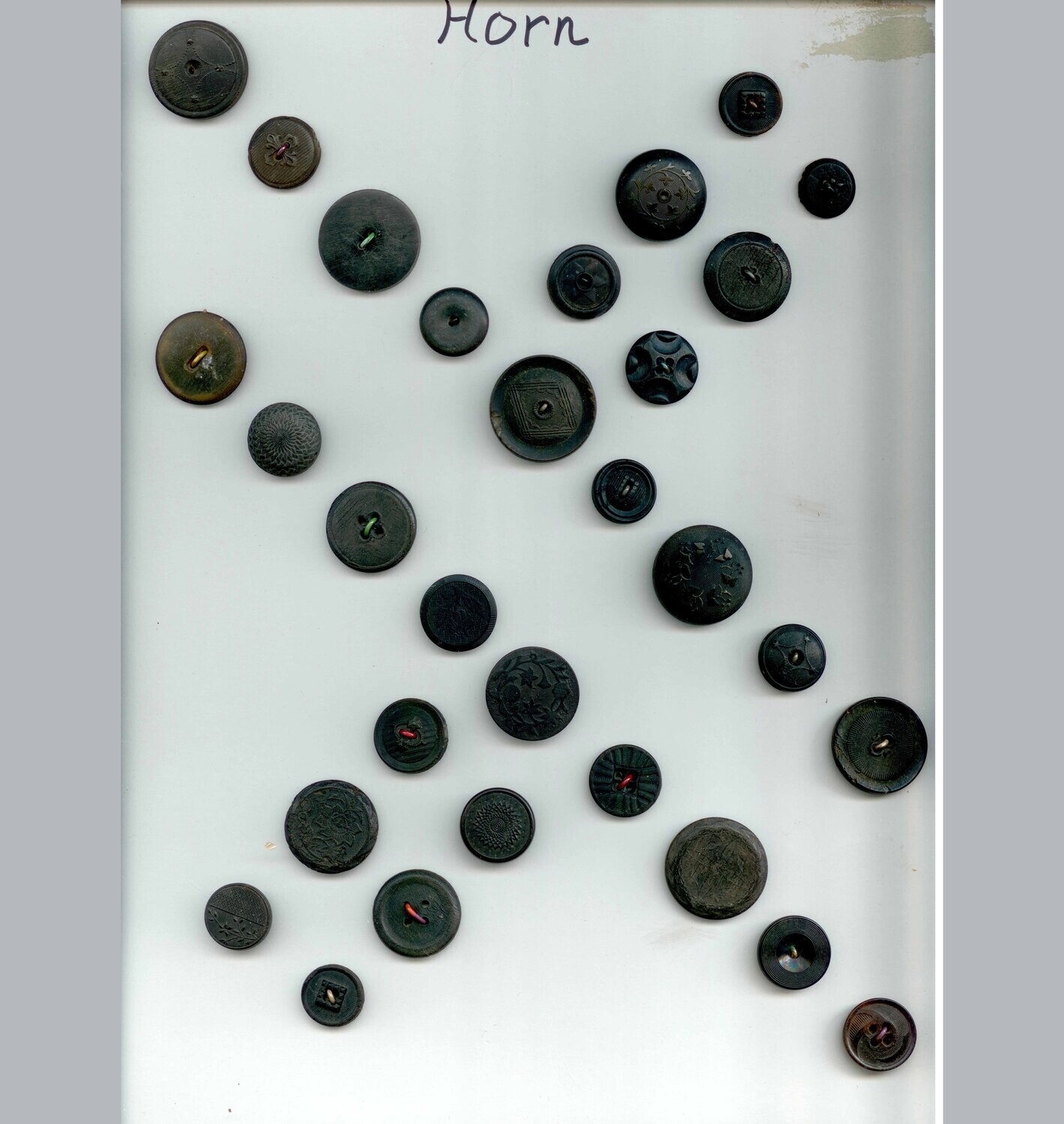 30 Horn Buttons