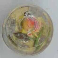 Dimi Two-Piece Glass