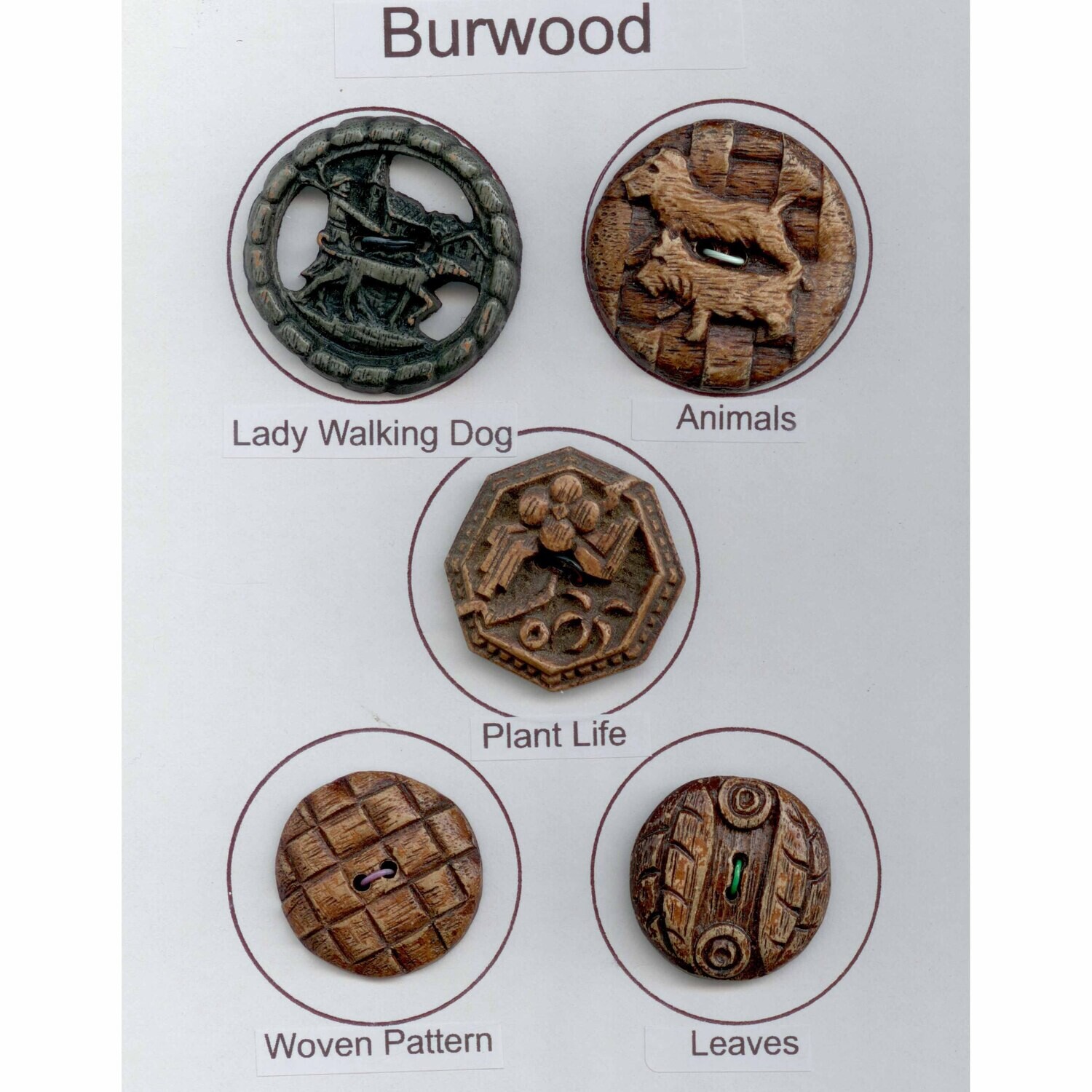 Group of 5 Burwood Buttons