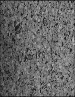 Punch Board