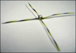 Wire Spider Coated (pkg. of 5)