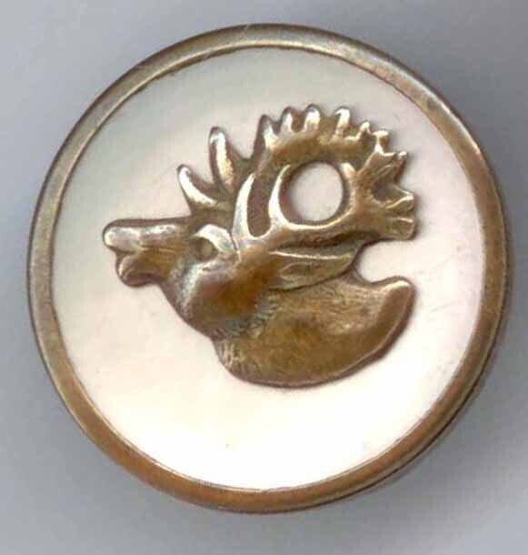Moose Head, Shell in Brass