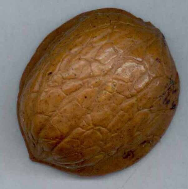 Nut