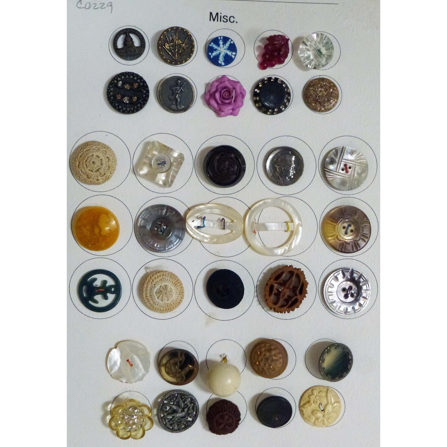 33 Misc. Materials Buttons &amp; 2 Shell Buckles
