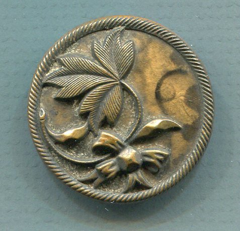 Celluloid Background, Plant Life
