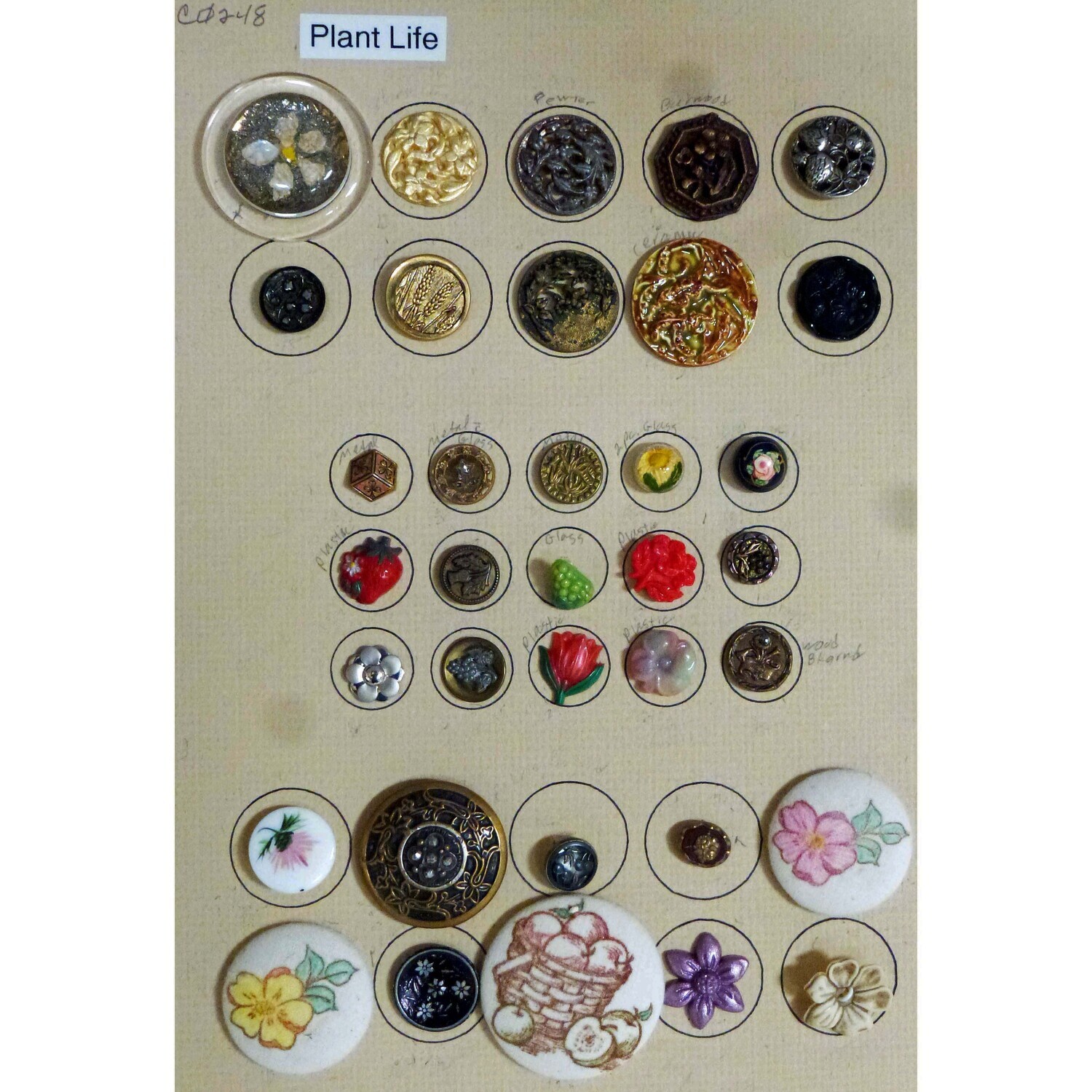 35 Buttons with Plant Life