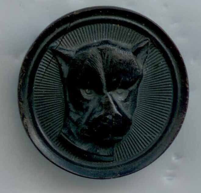 Horn Dog Head