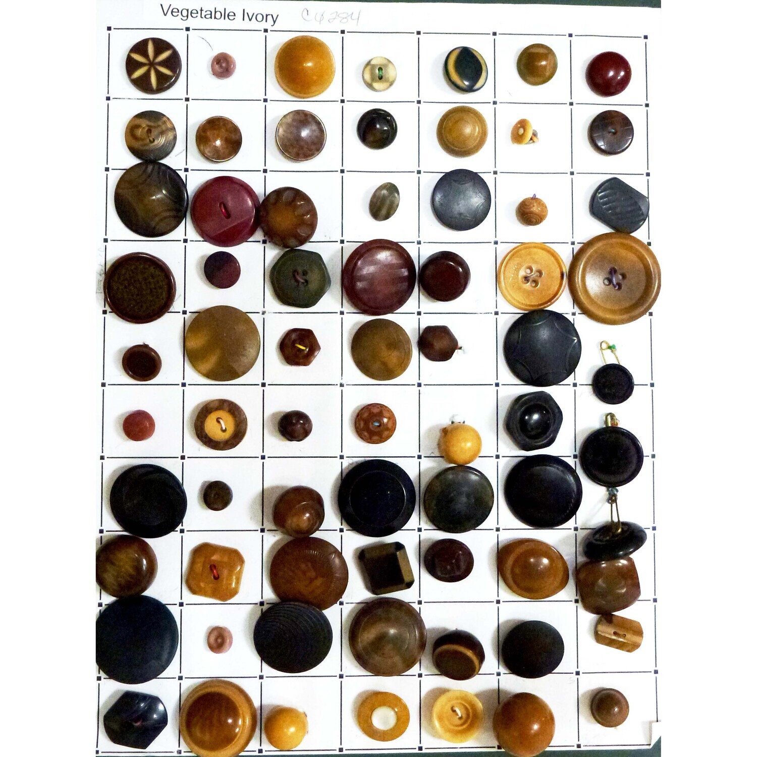70 Vegetable Ivory Buttons