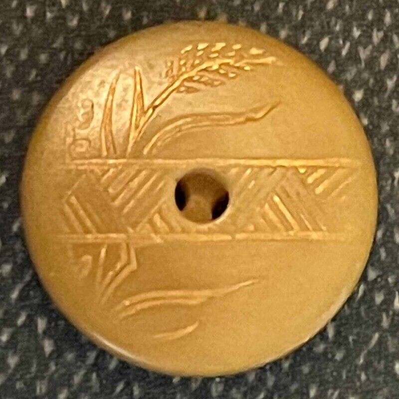 Vegetable Ivory Grain