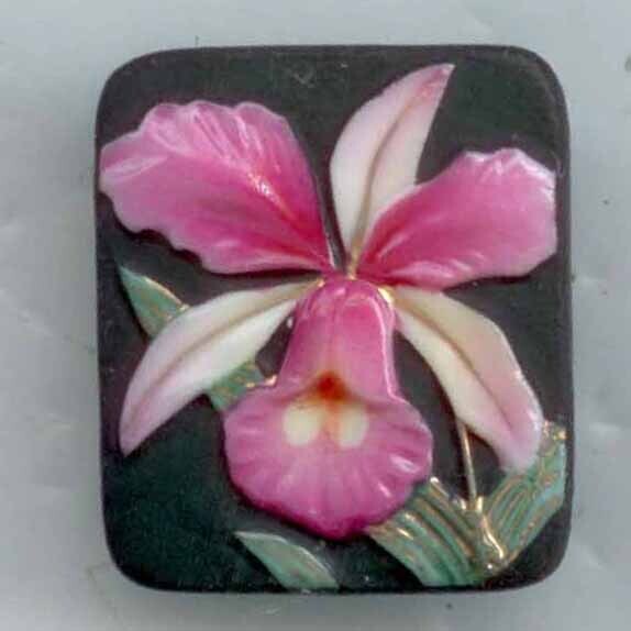 Arita, Orchid