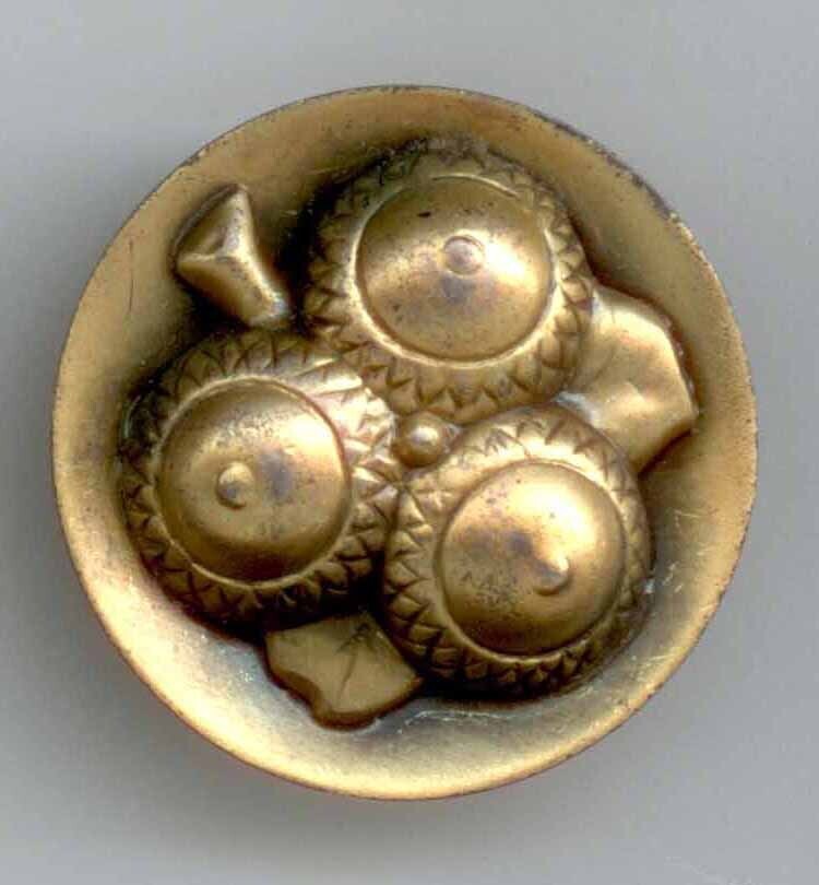 Three Acorns